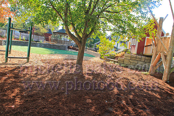 9252-Photo66