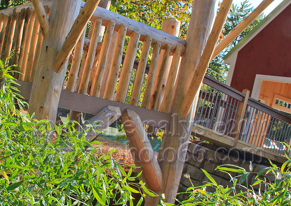 9272-Photo66