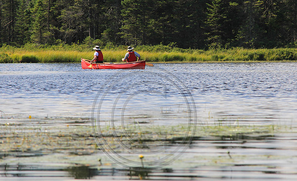 0539-Photo66