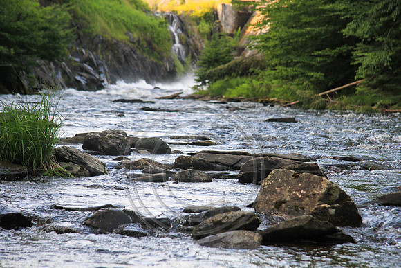 8331-Photo66
