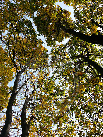 20121027_135743s