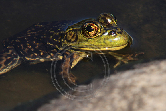 8923-Photo66