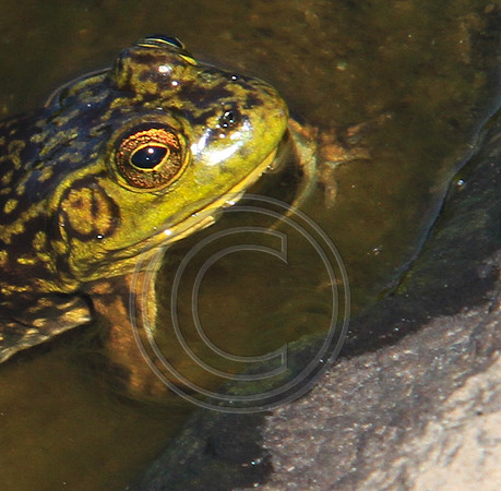 8917-Photo66
