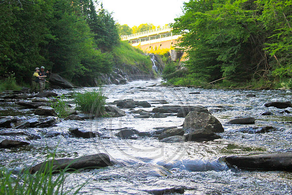 8310-Photo66