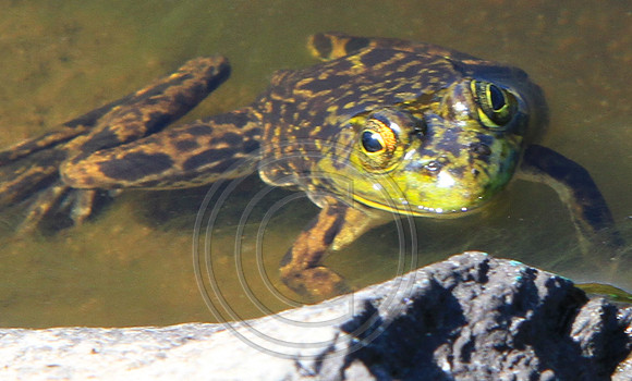 8879-Photo66