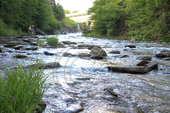 8311-Photo66