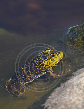 8889-Photo66