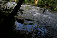 8177-Photo66