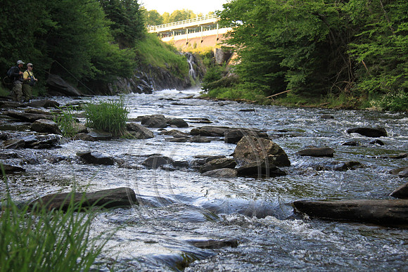 8332-Photo66