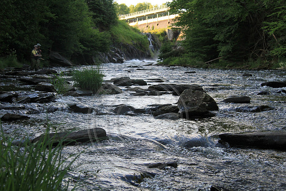 8307-Photo66