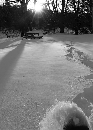 IMG_8404crop5x7