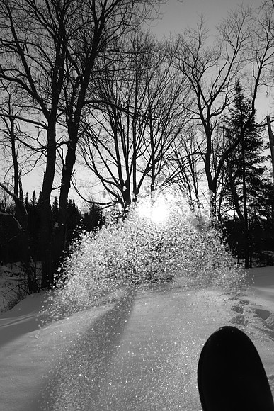 IMG_8402