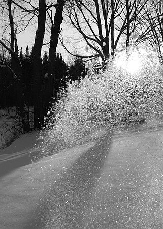 IMG_8402crop5x7v4