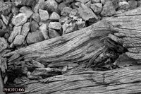 6381-Photo66
