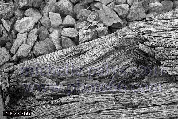6381-Photo66