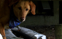 8986-Palys-photo66.com