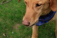 8978-Palys-photo66.com