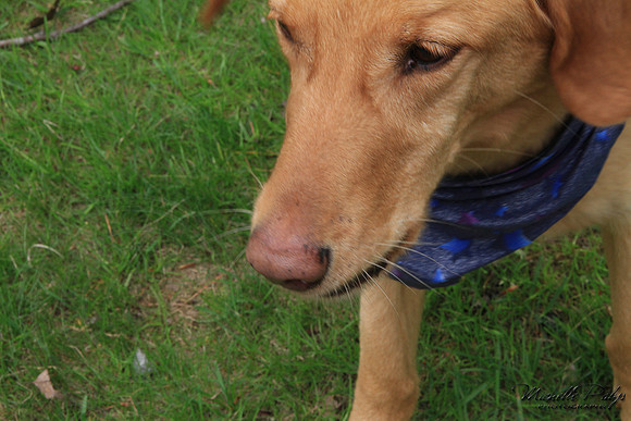 8978-Palys-photo66.com