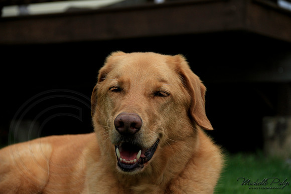 9247-Palys-photo66.com