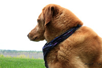9032-Palys-photo66.com