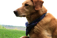 9033-Palys-photo66.com