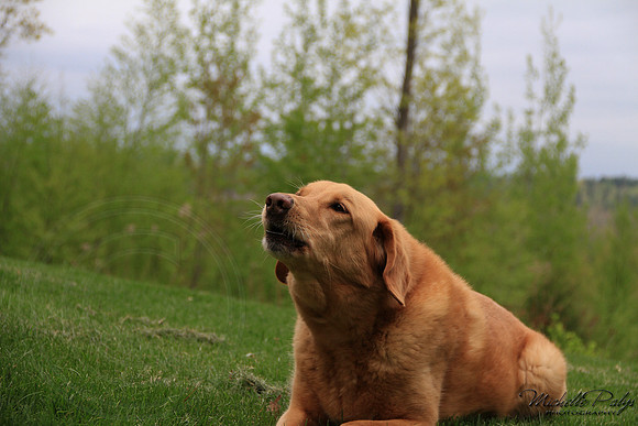 9181-Palys-photo66.com
