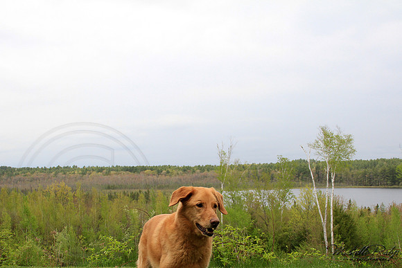 9212-Palys-photo66.com