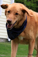 9064-Palys-photo66.com