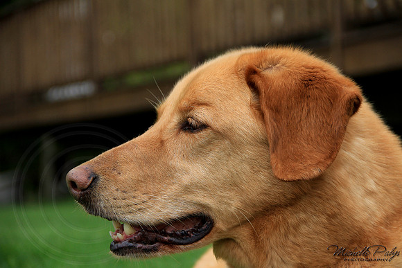 9257-Palys-photo66.com