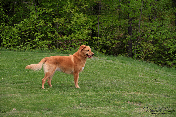 9277-Palys-photo66.com