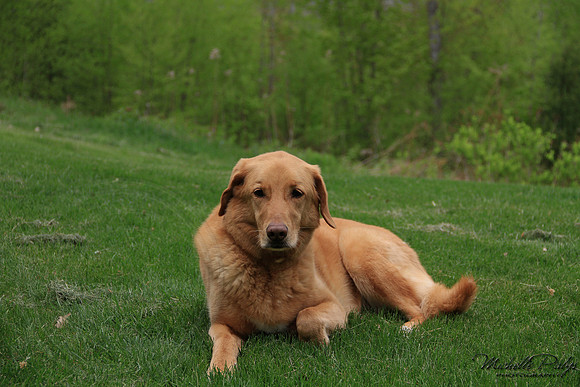 9185-Palys-photo66.com