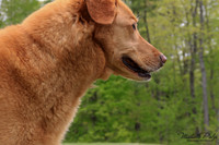 9071-Palys-photo66.com