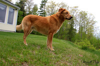9067-Palys-photo66.com