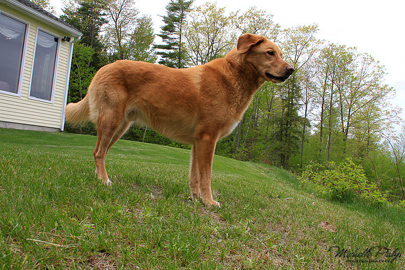 9067-Palys-photo66.com