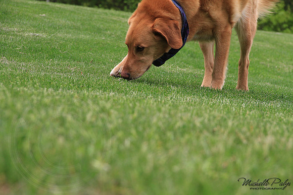 9060-Palys-photo66.com