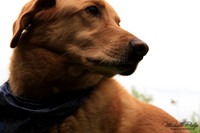 9031-Palys-photo66.com