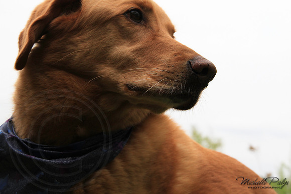 9031-Palys-photo66.com