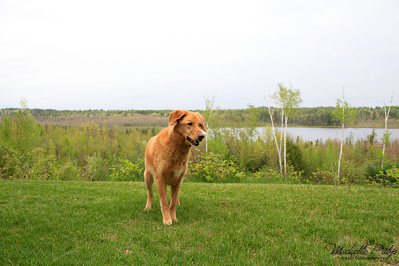 9210-Palys-photo66.com
