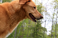 9070-Palys-photo66.com