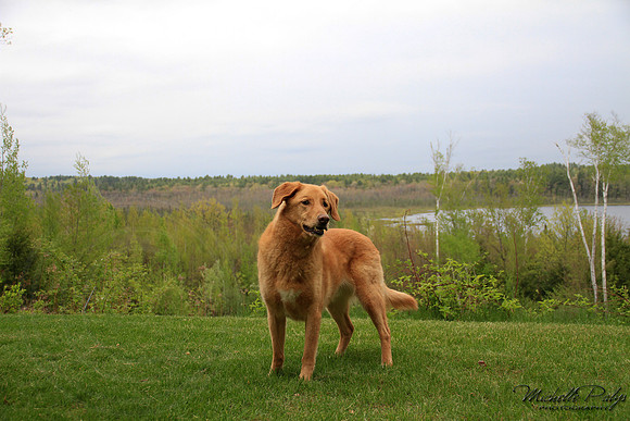 9207-Palys-photo66.com