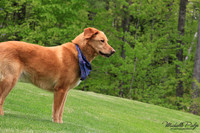9056-Palys-photo66.com