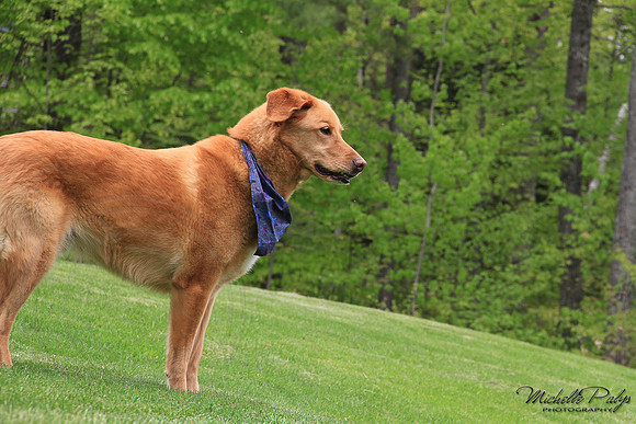 9056-Palys-photo66.com