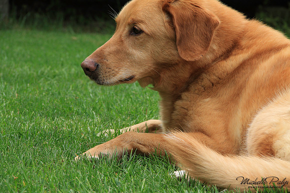 9074-Palys-photo66.com