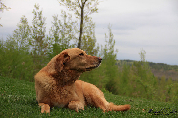 9189-Palys-photo66.com