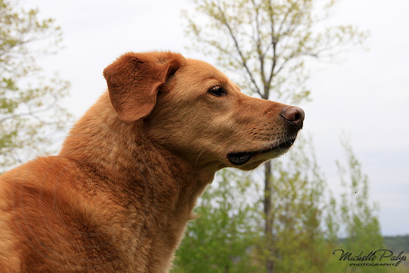 9116-Palys-photo66.com