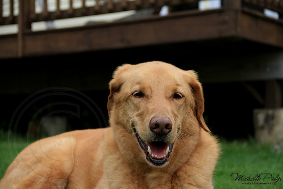 9252-Palys-photo66.com