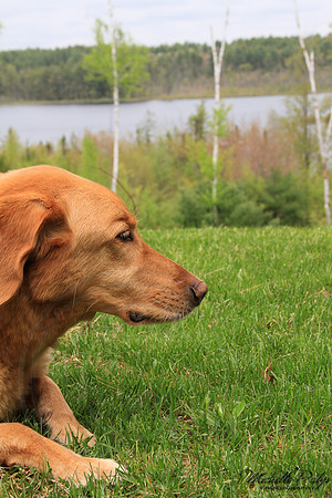 9108-Palys-photo66.com