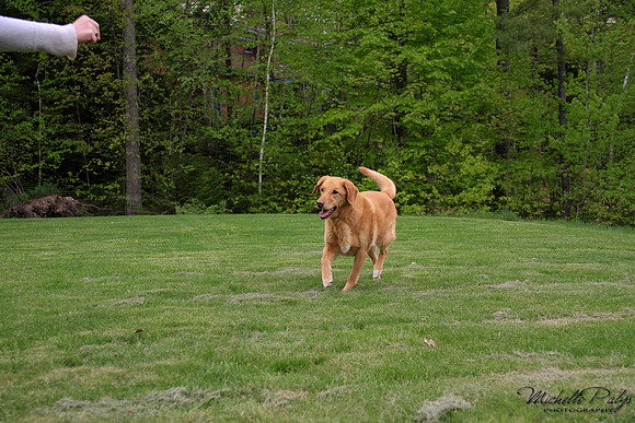 9282-Palys-photo66.com