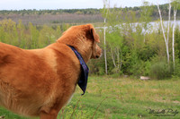 9048-Palys-photo66.com