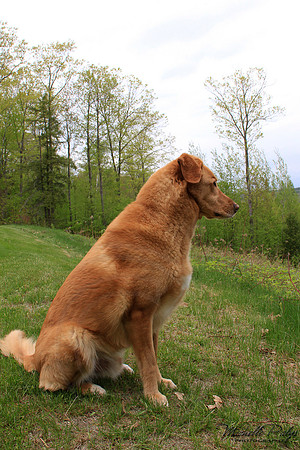9120-Palys-photo66.com